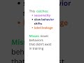 How to look for Drift without live traffic? #ml #tech #data #interview #mlinterview