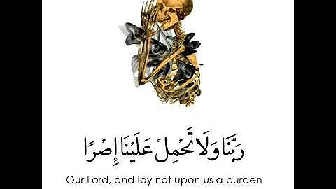 قران كريم فارس عباد اجمل حالات واتس اب قران راحه نفسيه 🌸🌹رمضان2020🌙