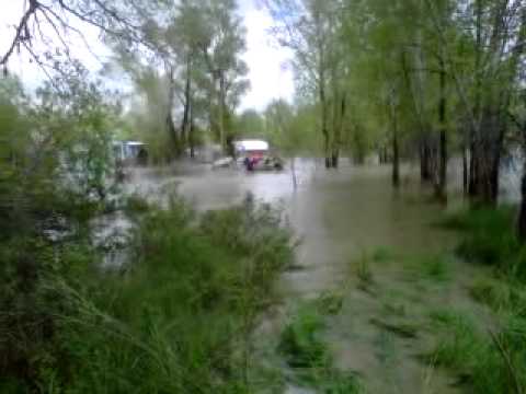 Operation Noah's Ark - Goats rescued from devastat...