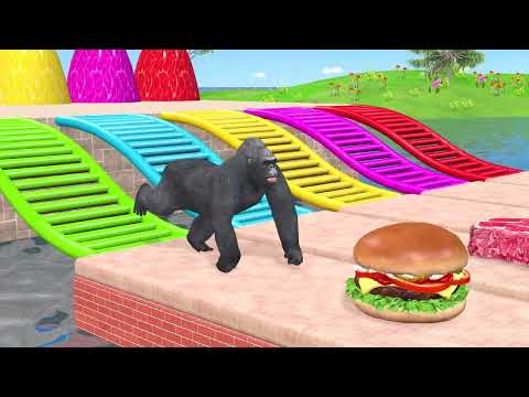 Long Slide Game With Cow Elephant Gorilla Hippopotamus Tiger - 3d Animal Game - Funny 3d Animals