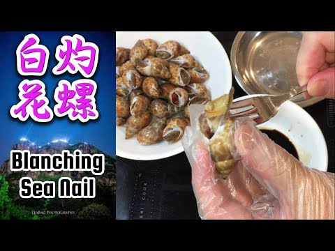 白灼花螺 | 白灼東風螺 | Blanching Sea Nail - YouTube