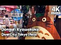 I visit an official studio ghibli collectible store  donguri kyowakaku divercity tokyo plaza