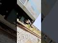 Peaceful #train #indianrailways #shorts #trending #shortsfeed #viral #trainwheels
