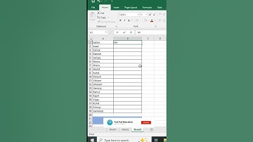 How to Add Mr and Mrs in Excel - @todfodeducation