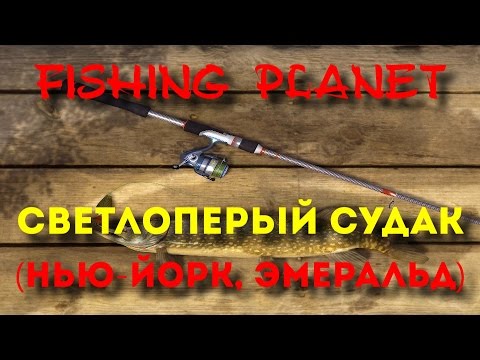 Fishing Planet | Светлоперый судак, Эмеральд