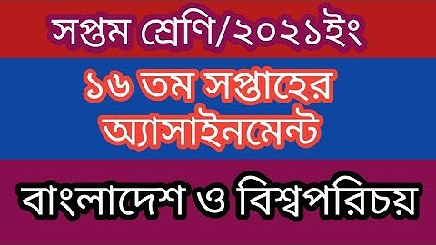 Class 7 ll BGS ll 16th Week ll Assignment Solution.