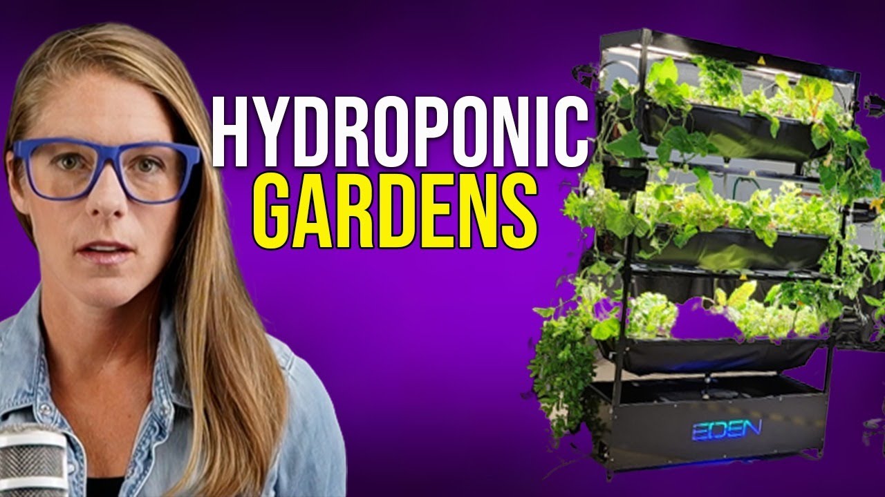 Hydroponic gardens – beginners guide || Jeff Raymond