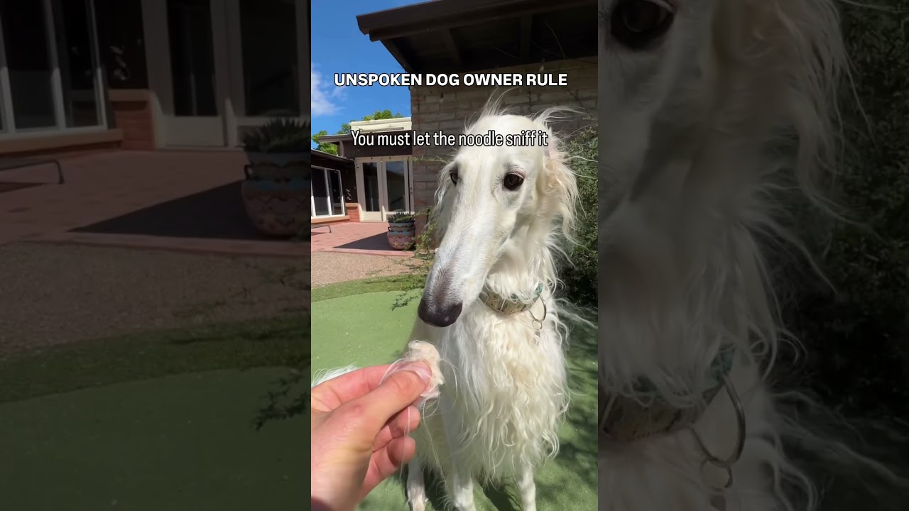 Learn the rules or pay the price 