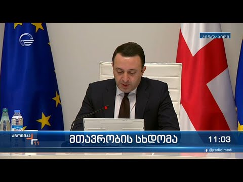 მთავრობის სხდომა - ირაკლი ღარიბაშვილის განცხადება