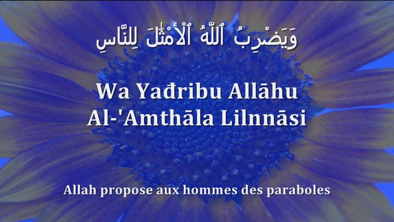 Apprendre le verset de la Lumière (Sourate 24, Verset 35) [arabe/phonétique/français]