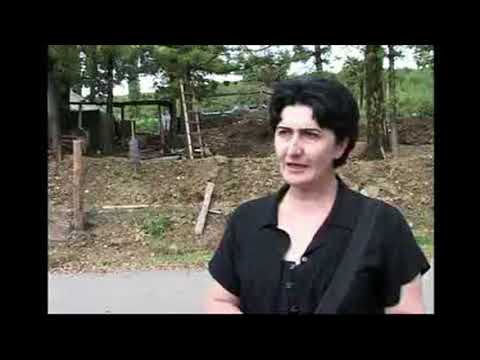 2008 წლის ფარული საინფორმაციო ომის რიგითი ჯარისკაცი ცისანა ჭკადუა