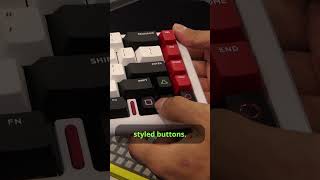 These Are Some Of the Best Looking Keyboards I have Ever Seen! (Iqunix)