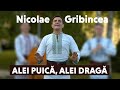 Nicolae Gribincea - Alei puică, alei dragă