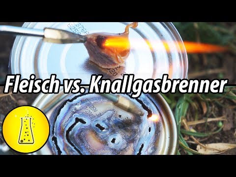 Knallgasbrenner vs. Fleisch, Mais und Öl!