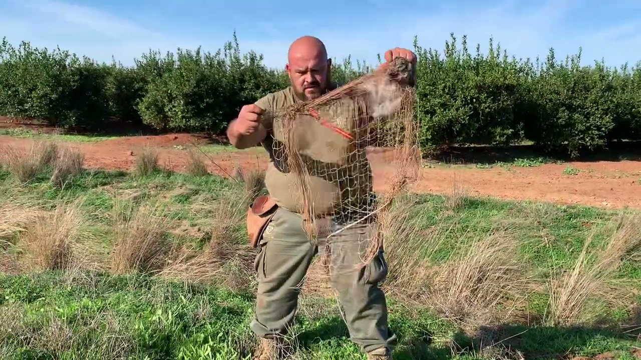 🐇🦝La madriguera Camperos es grande.Pocos bichos pero que sean buenos👍😘❤️Siempre Parriba
