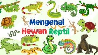 Belajar Mengenal Nama  Hewan Reptil | Mengenal Nama Hewan Melata  🐍🐊🐢