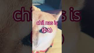 【Music】chil nas is - ゆめ　#shorts