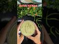 Special Mirchi Karoda Chatani #shorts #ytshorts #chatni #viralshort