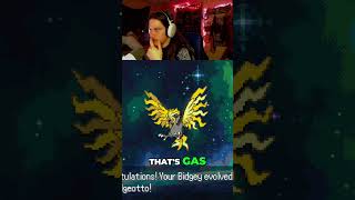 PIDGEY FINALLY GOT SOME LOVE #fanmade #pokemon #goober #gaming #livestream #twitch