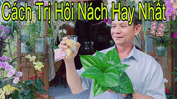 Bốn Bài Thuốc Trị Hôi Nách Dứt Điểm Trong 1 Tuần