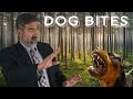 Dog bite lawsuit  when dogs cats or domestic animals attack