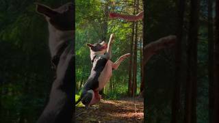 2 People Youd Meet Up With In The Dc?