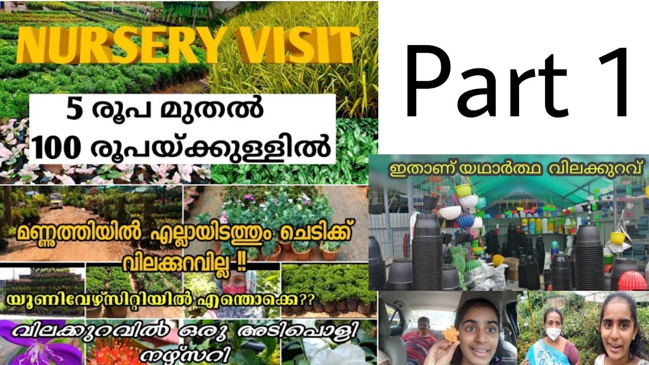 🌿മണ്ണുത്തി നേഴ്സറി🌝part one agriculture farm plant nursery visit in Kerala ഇതിനും,🌿🌿 വിലക്കുറവിൽ 🙄
