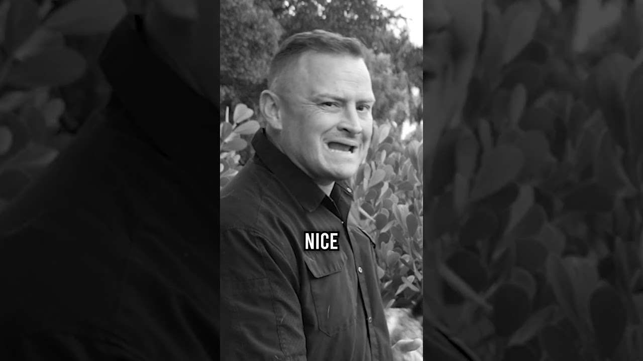 Is the Australian Cattle Dog the Right Dog for You?