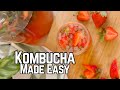 How to make homemade kombucha  quick  easy recipe