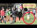 装蹄師さんにこれ直してと蹄鉄をポトリと落とすアンリーベイビー