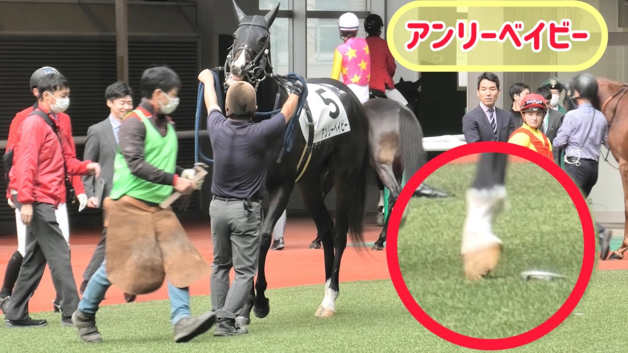 装蹄師さんにこれ直してと蹄鉄をポトリと落とすアンリーベイビー