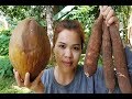 Amazing cooking Cassava With Coconut recipe -Cassava Cake -How to Cook cassava -Village food factory