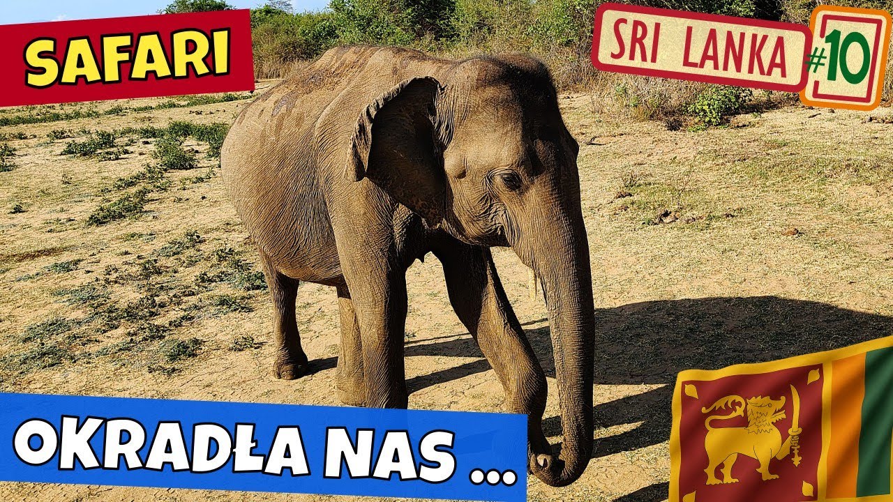 Safari Sri Lanka – Udawalawe National Park: słonie, krokodyle i małpy, które nas okradły...