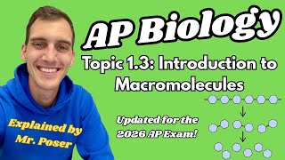 1.3 Introduction to Macromolecules - AP Biology (Updated 2025-2026)