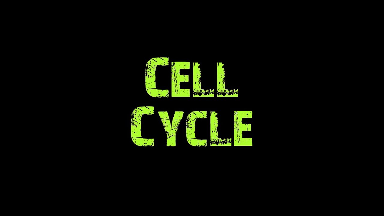 What is cell cycle 