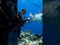 🌊 Monster Fish Catch Underwater 😱🐟#fishing #youtubeshorts