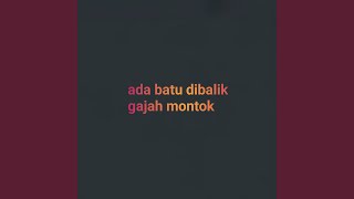 ada batu dibalik gajah montok