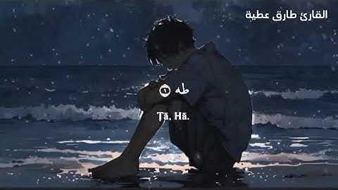 أرح سمعك...تلاوة هادئة تريح القلب والعقل 🖤🎧 راحة نفسية من عالم آخر 😴