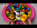Aprende los Animales de la Granja 🐷🐰 Videos reales para niños ✨ Mimonona Stories