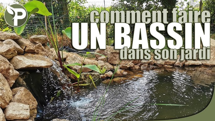 Comment créer un bassin de jardin avec liner ? - Truffaut 