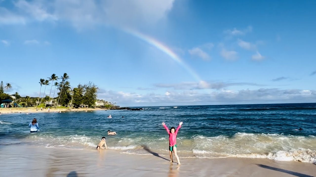 Kauai, Hawaii with kids—-Poipu beach, Hawaiian Monk Seal, Sea turtles!