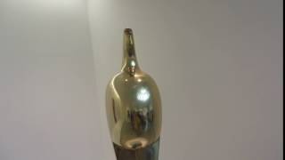 Constantin Brancusi -Maiastra