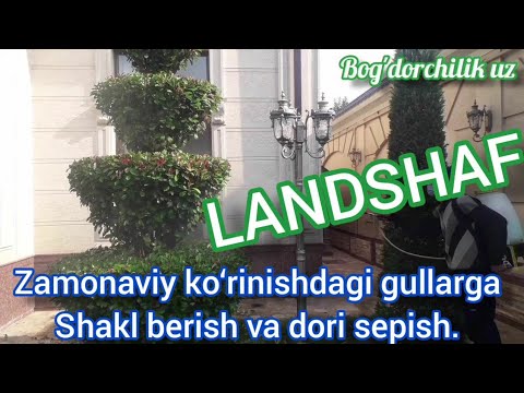 Video: Kompyuter yordamida dori dizayni nima?