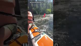 They Are So Nonchalant Lol 😳🐶🚤