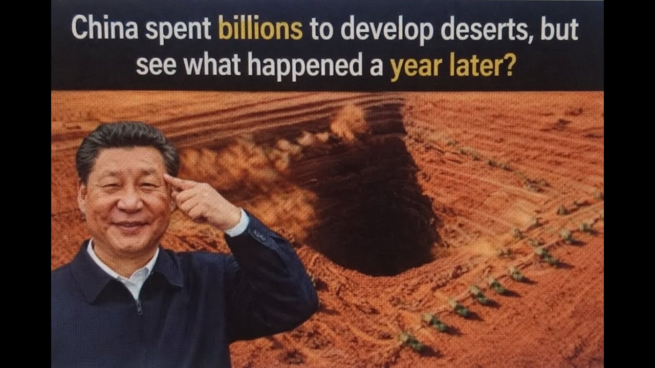 "China Transformed Desert Into Green Paradise! What Happened 1 Year Later Will Shock You 🌱😲"