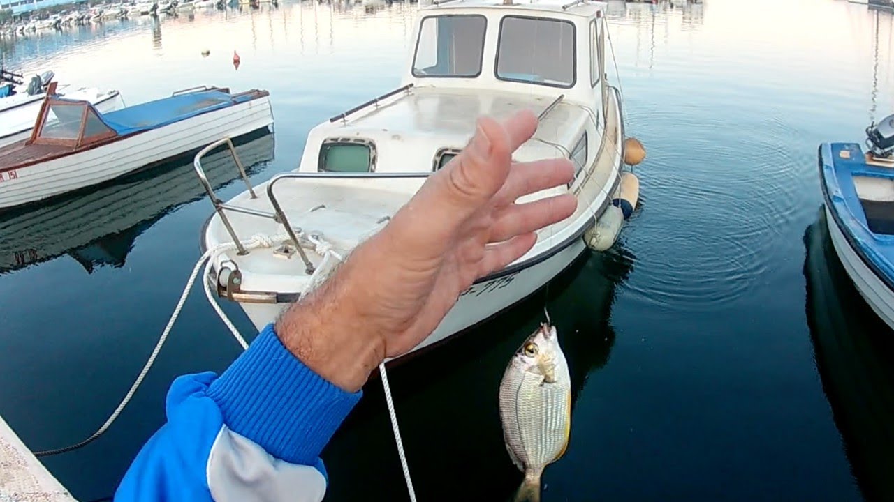 UZIVANJE U REKREATIVNOM  RIBOLOVU NA BARSKOJ MARINI - 4K VIDEO