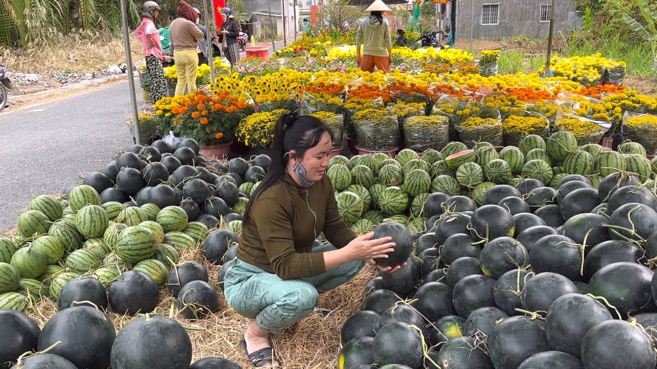 Khám Phá Chợ Tết Quê Em Năm Nay Hoa Về Rất Nhiều.