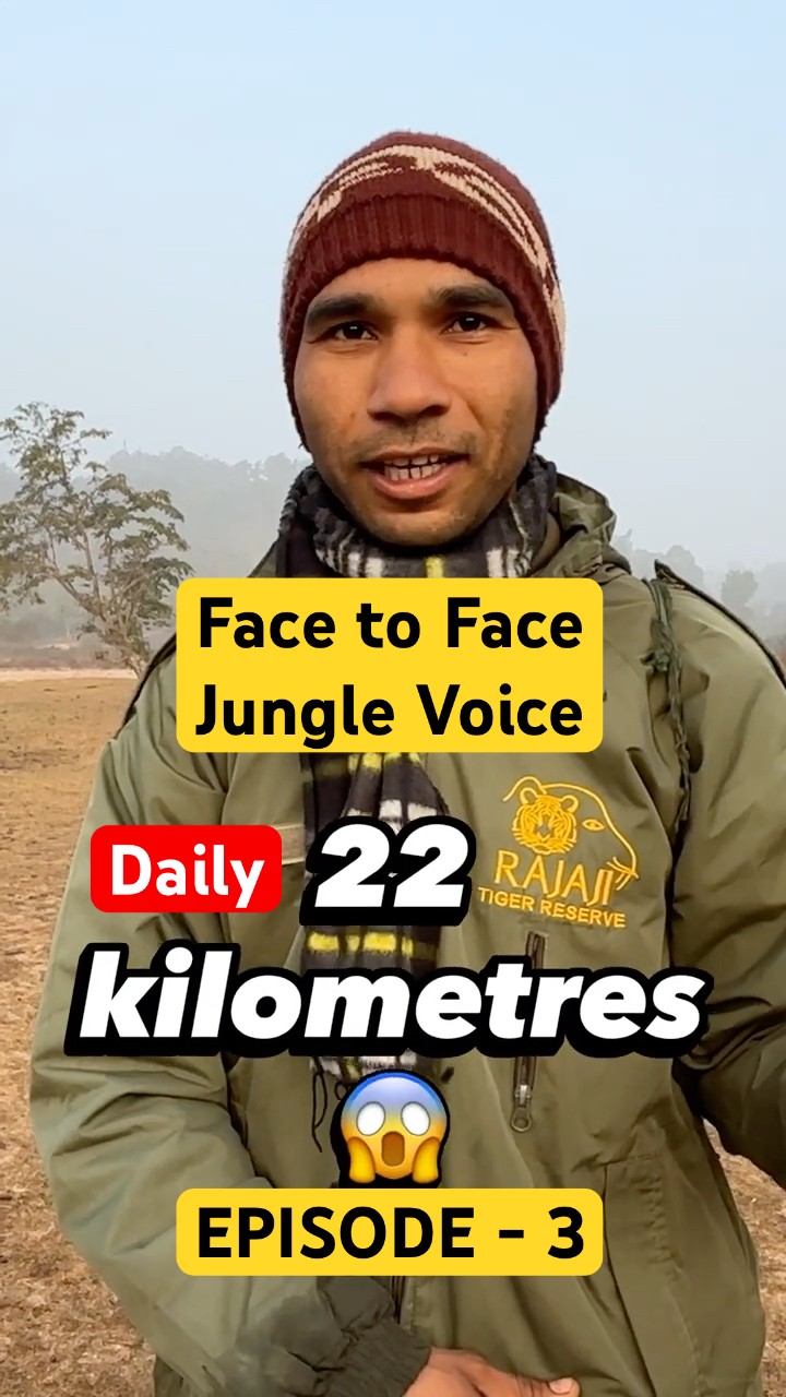 Face to Face with a Jungle Hero | Shocking Stories of a Jungle Forest Guide #hero #podcast #shorts