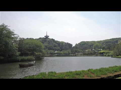 無言坂（中森明菜）