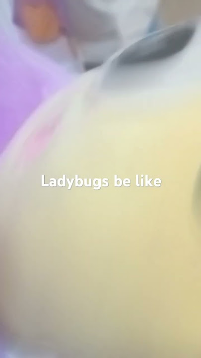 Pov:Ladybug wokes up ready to go to isas room and talk about it